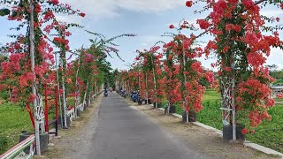 TAMAN BOUGENVILLE, TAMAN PUSPA GADING TEGALDOWO BANTUL YOGYAKARTA