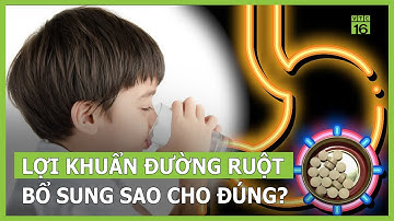 Lưu ý khi bổ sung lợi khuẩn cho đường ruột? | VTC16