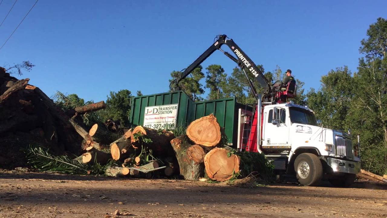 Time lapse 2 Prentice Loader, A Budget Tree Service YouTube