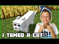 I TAMED A CAT IN MINECRAFT!