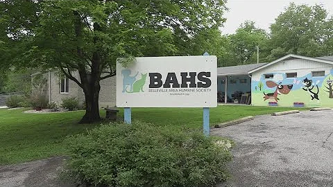 Belleville animal shelter fosters pets to help domestic abuse victims