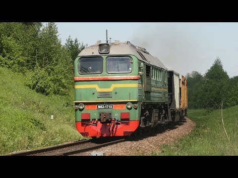 Мотор вагонный поезд