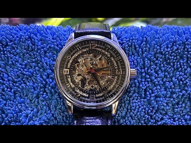 BERNY Automatic Watch Self Winding Water Proof 20ATM Sapphire