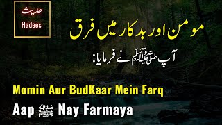 Momin Aur Budkaar Mein Farq Hadees Sharif Hadees Nabvi Hadees Kisa Bukhari Urdu Islamic Info