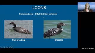 2024 BW Training Class 4 --Birds 1 and Human Use Protocols