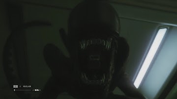 Alien Isolation: In space no one can hear you scream.