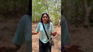 Ye hum ghane jungle mein kahan agye 😰 #priyalkukreja #shorts #ytshorts