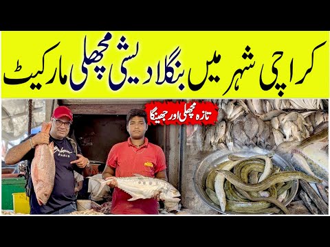 Pangasius Fish Price In Karachi