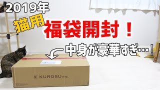 2019年！猫用の福袋を開封します…中身が豪華すぎた!!