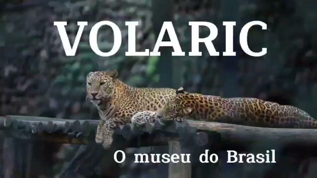 Volaric - Vídeo - Fatec 29 11 2022