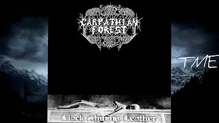 07-In Silence I Observe-Carpathian Forest-HQ-320k.