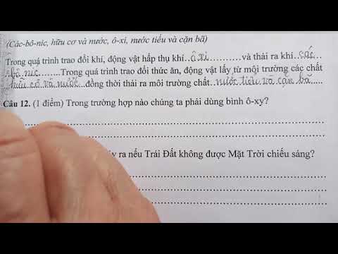 Đề thi cuối học kỳ 2 môn Khoa học lớp 4 - youtube