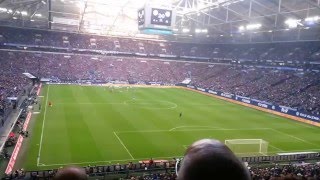 Schalke Fans gegen Wolfsburg