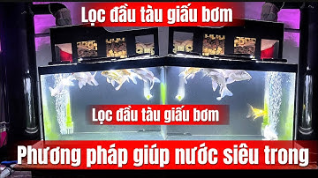 Lọc Đầu Tàu Giấu Bơm và Cách Làm Nước Siêu Trong - Chia Sẻ Cách Làm Lọc Đầu Tàu Giấu Bơm + Ống Lắng.