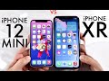 iPhone 12 Mini Vs iPhone XR! (Comparison) (Review)