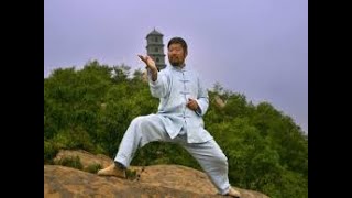 Master Chen Zhonghua Use 2 to Push 1 Out