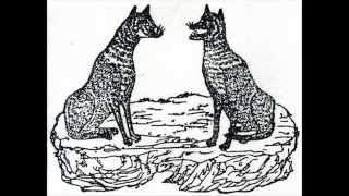 オオカミ信仰と浅田次郎著 神坐す山の物語 丘の上から通信