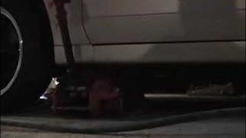 2003 cobra open headers