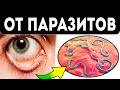 Жрут любой орган! Мощная чистка от любых паразитов