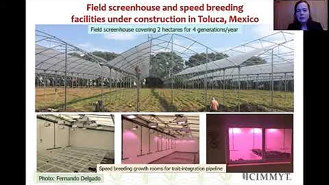 Alison Bentley - Accelerating Genetic Gain and the...