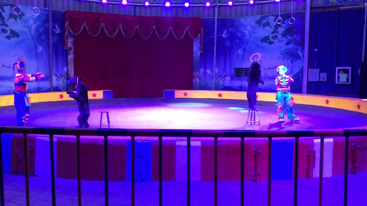 20180401 熊のショー