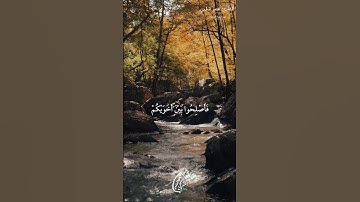"إِنَّمَا الْمُؤْمِنُونَ إِخْوَةٌ" من سورة الحجرات - عمر شلبي