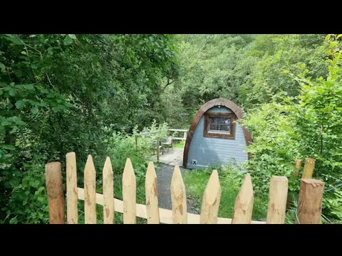 Magical Forest Nest Glamp walk through in North Wales booked via airbnb