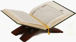 سورة الحشر نصف وجه من ٨ إلى ٩ إبراهيم الأخضر ..♡
