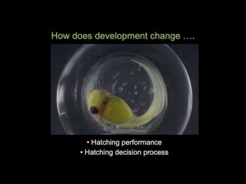 Watch this video
