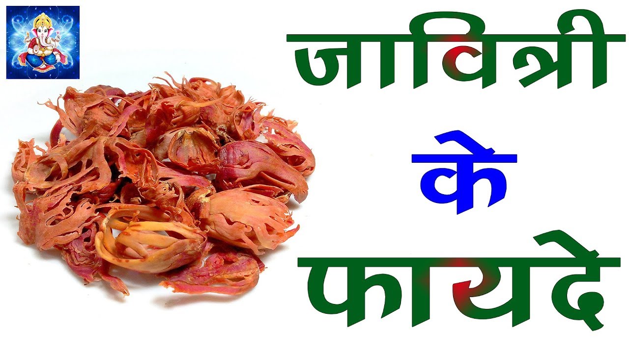 जावित्री, Mace Health Benefits क्या जावित्री के ये गुण जानते है आप