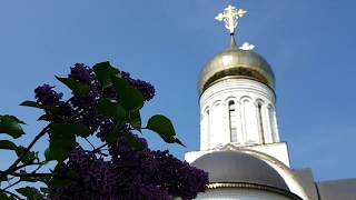 Сергей Никольский колокольный звон в храме св.мч.Уара, поселок Вешки