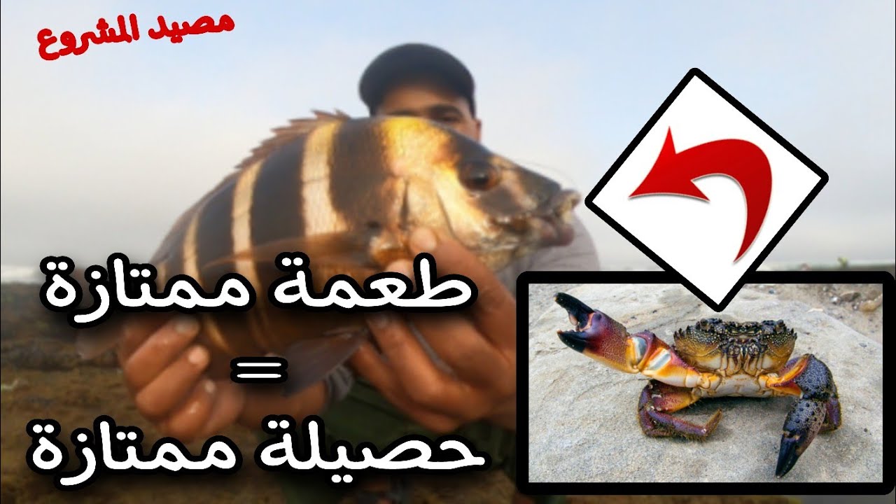 اقرب مصيد لمدينة اگادير ممكن تصيد فيه مرتاح