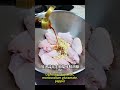 脆皮鸡翅 #Crispy Chicken Wings#鸡翅#美味 #家常菜