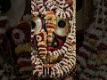 🌸जय जगन्नाथ स्वामी, नयन-पथगामी 🍀🙏#JaiJagannath #SandhyaAarti #JagannathSwami
