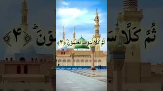 Islamic_Video #IslamicVideo #IslamForAll #BanglaIslamicVideo