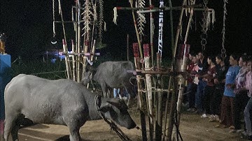 Lễ bỏ mã người dân tộc chăm hroi tại buôn Ma Giai, Đất Bằng, Krong Pa, Gia Lai