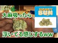 【大麻レビュー】いい感じのガンジャ