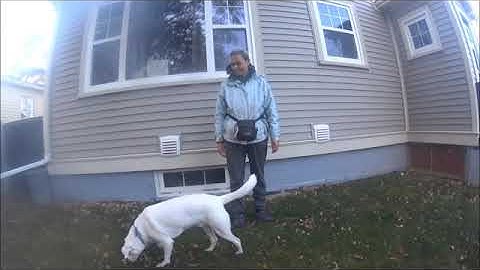 Ping Pong Pattern Game