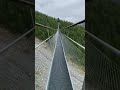Підвісний міст Шарля Куонена /Charles Kuonen Suspension Bridge/Швейцарія/Альпи.