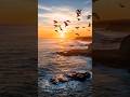 Sunset by the sea #sunset #sea #fdccompany