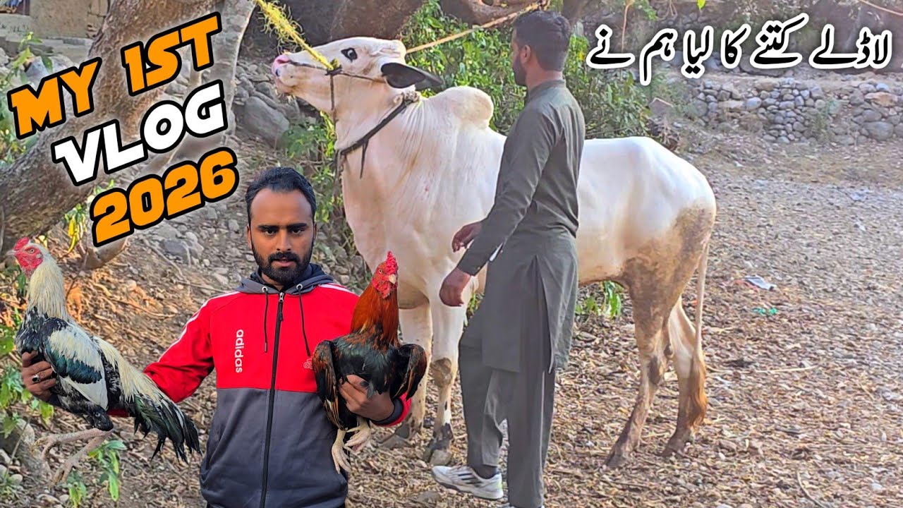 My First Vlog 2026 Ladly Ki Price Reveal Village Life Daily Routine MB Vlogs 