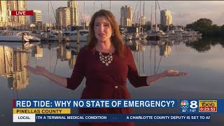 Governor said State of Emergency won't help with Red Tide, St. Pete leaders disagree
