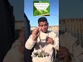 كل داب من إنسان وحيوانات و جن إلا والله يعرف طريقها غزة القرآن الكريم اكسبلور ترند
