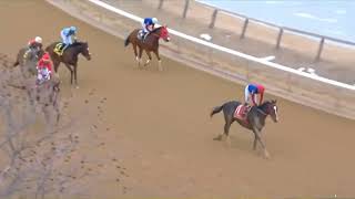 R7 Aqueduct 19 Feb 2026