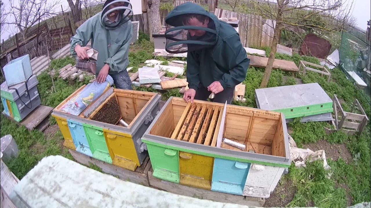 Пчеловоды крыма. Пчеловодство в крыму районы. Современный пчеловод. Пчеловоды крыма. Пасека ульи.