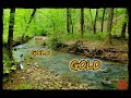 Gold Prospecting in North Carolina