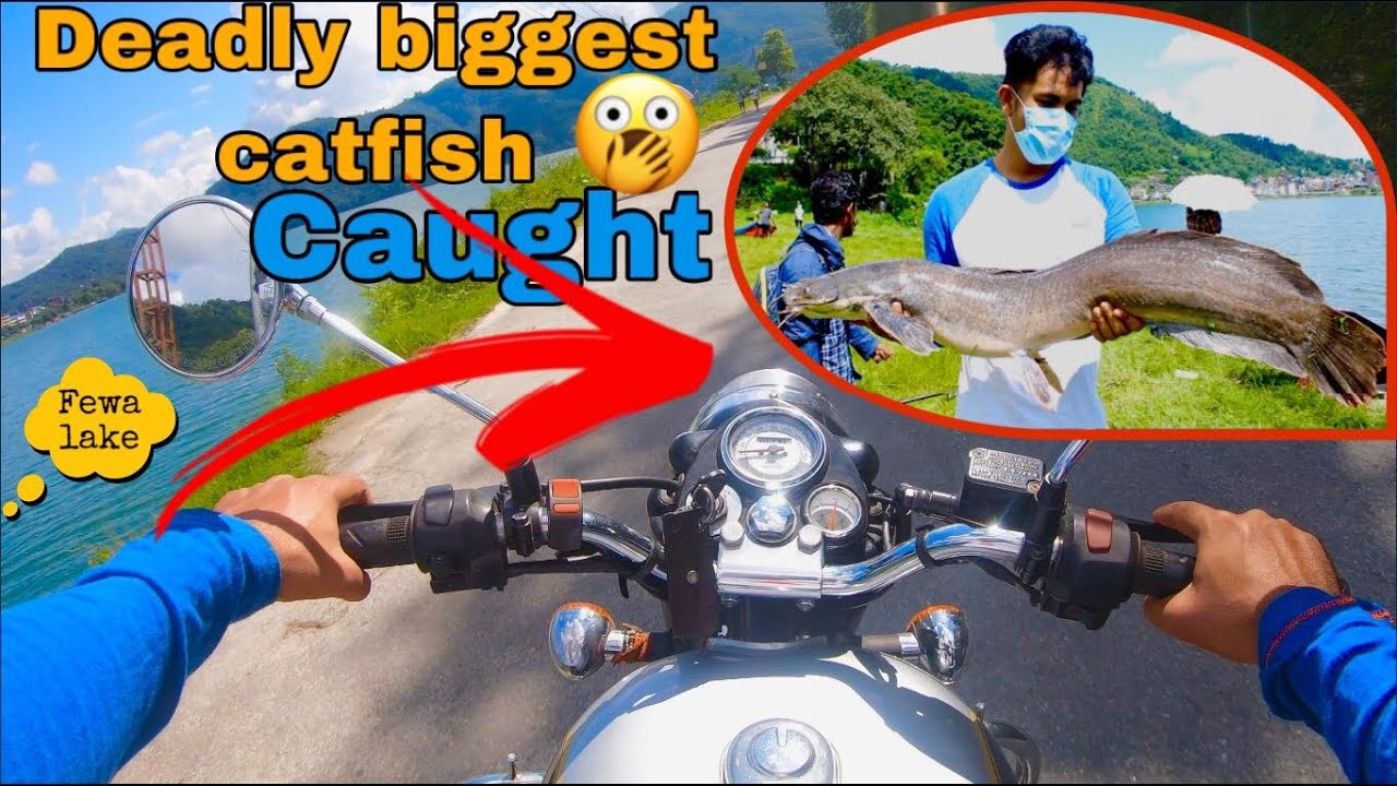 DEADLY BIGGEST CATFISH CAUGHT LIVE FEWA LAKE LOCKDOWN 2MOTOVLOG