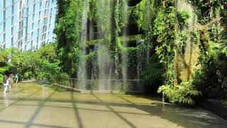 Singapore Cloud Forest 20200227 1