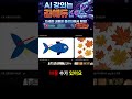 토끼가 청년으로? AI가 만든 충격적인 토끼와 거북이 결말