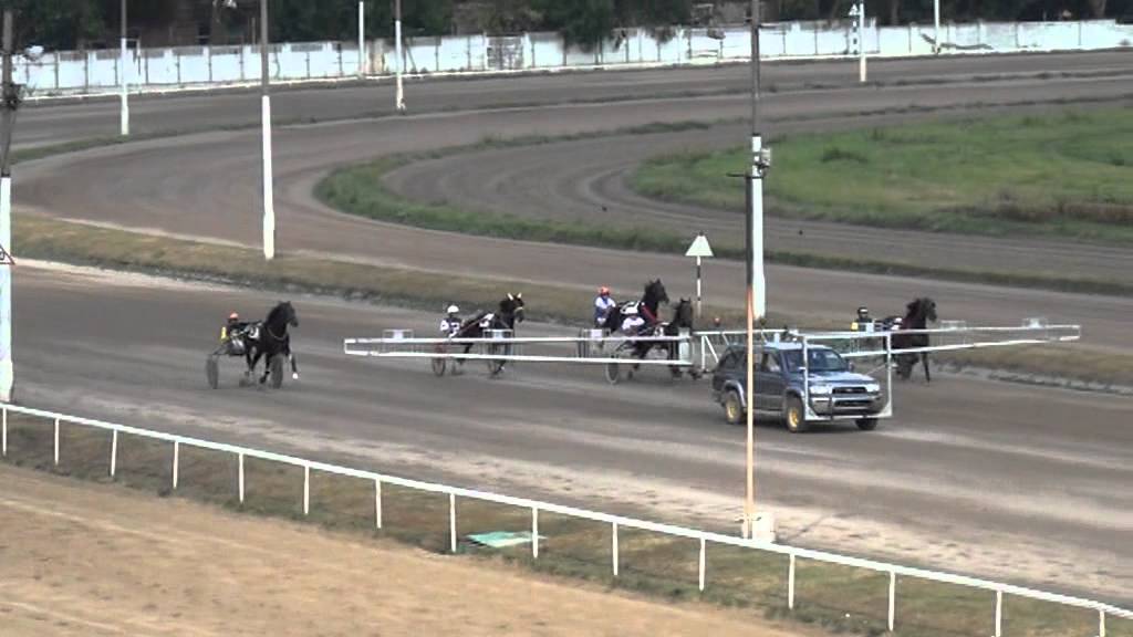 ЦМИ.Бега.12.08.12.Заезды 9й и 12й.Победы т/о Есина.